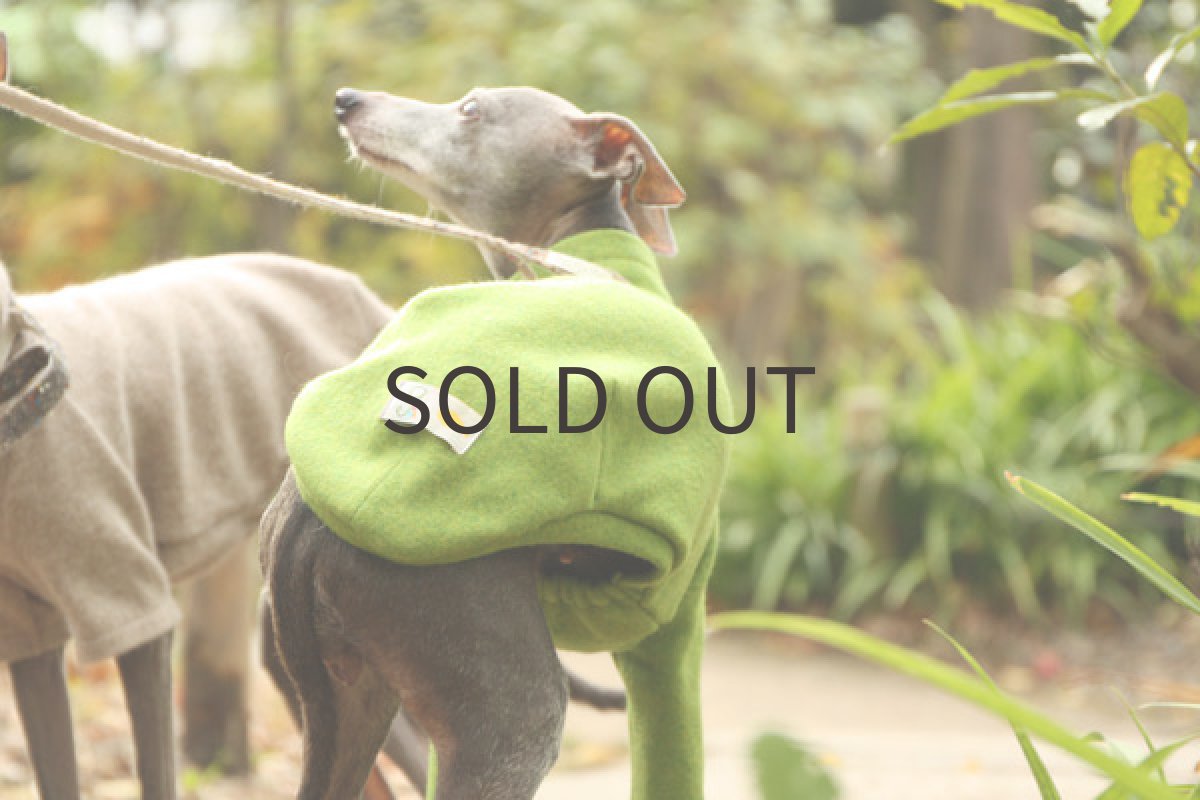 画像3: アンゴラ混ウール（ピスタチオ） (3)