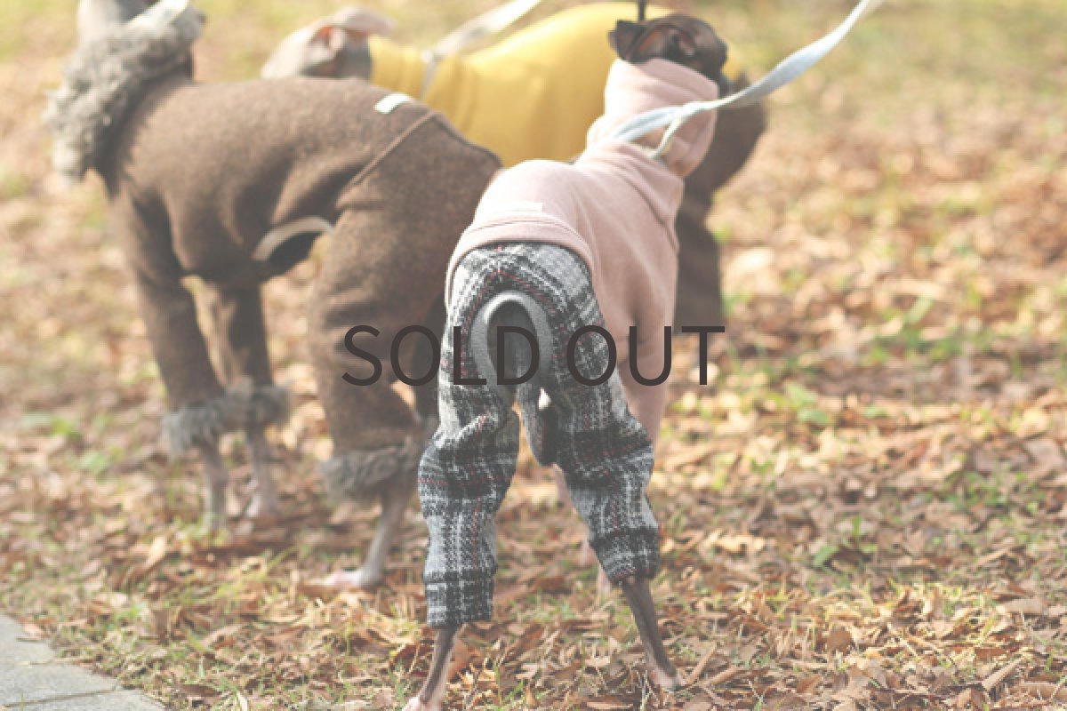 イタグレ服 ループチェックパンツのロンパ 後方