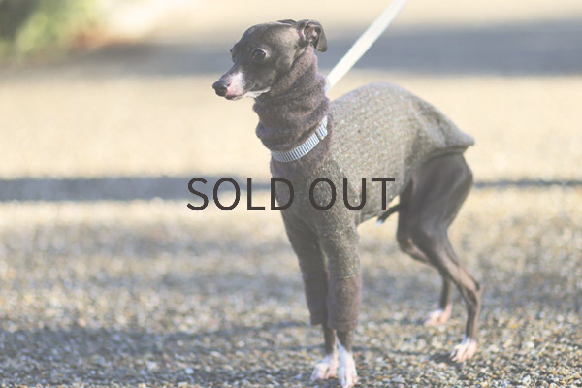 イタグレ服 シャギーネック 斜め前