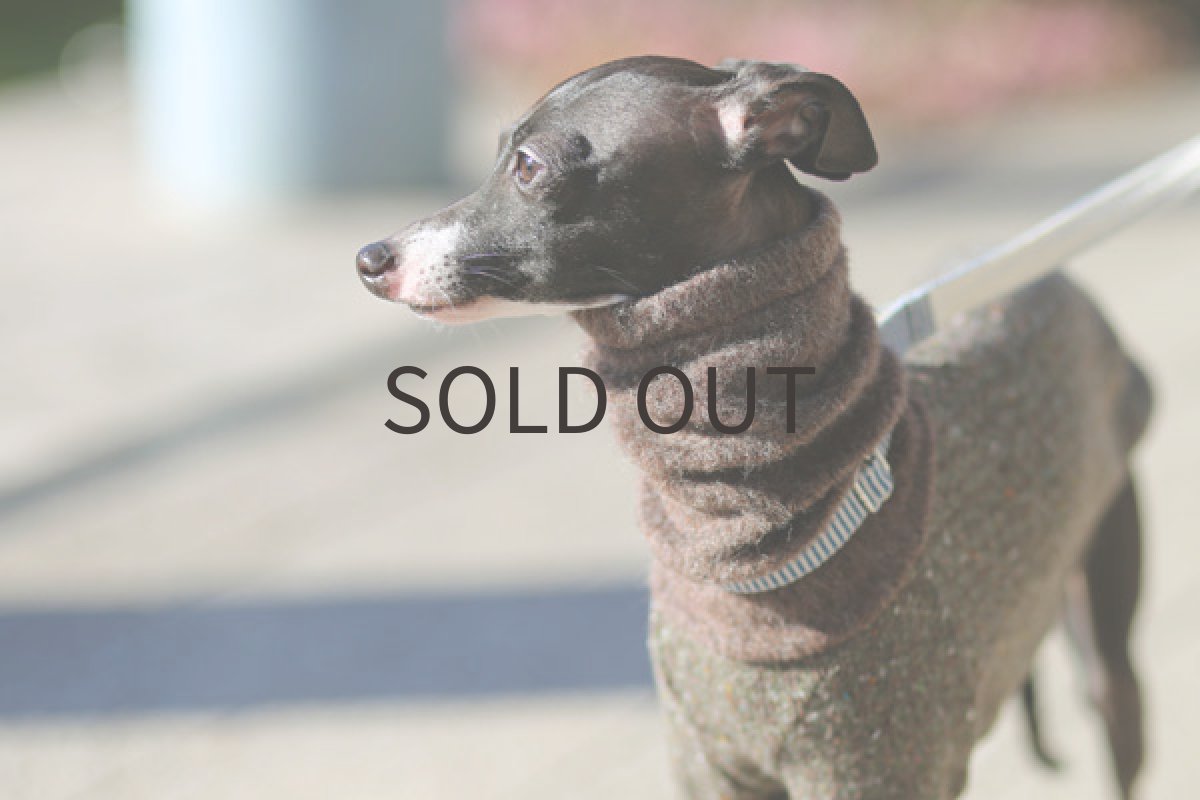 イタグレ服 シャギーネック 前アップ