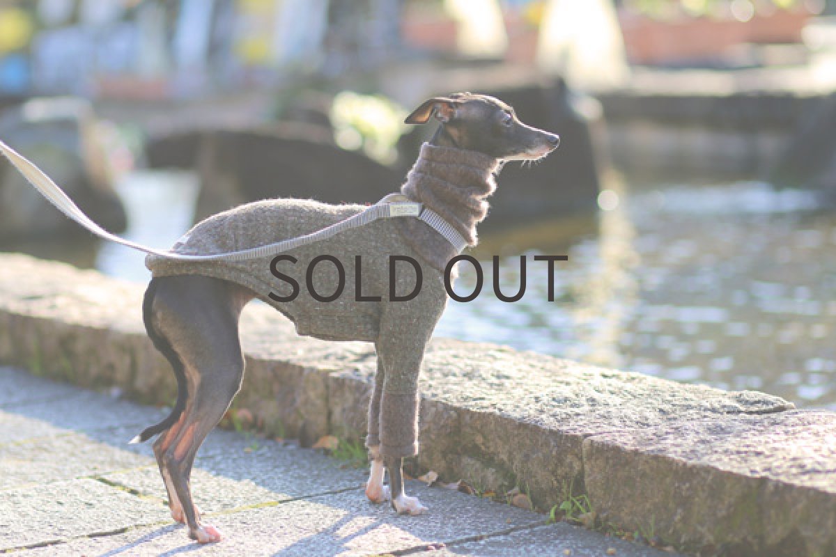 イタリアングレーハウンド服 シャギーネック 全身横