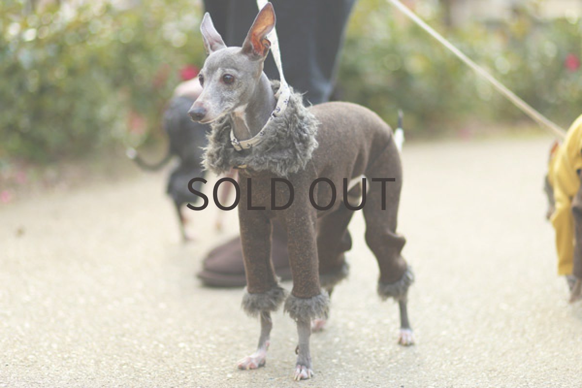 イタグレ服 ネップ圧縮+ファーのロンパ 斜め前