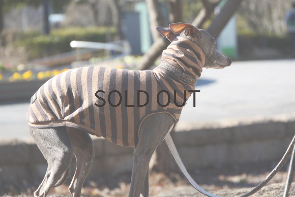 画像3: ウール混ボーダー(モカベージュ) (3)