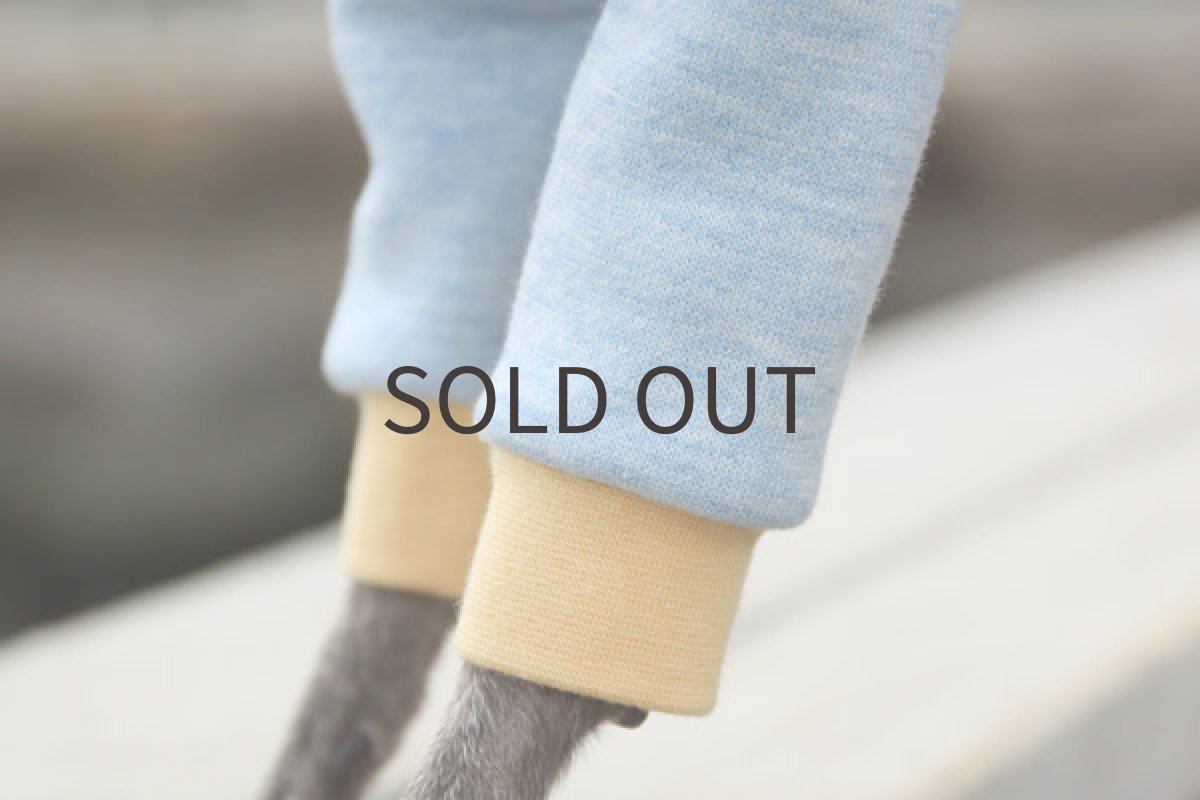 画像4: 霜降りブルーのトレーナーシャツ (4)