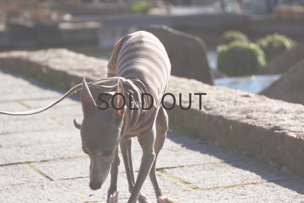 画像5: ウール混ボーダー(モカベージュ) (5)