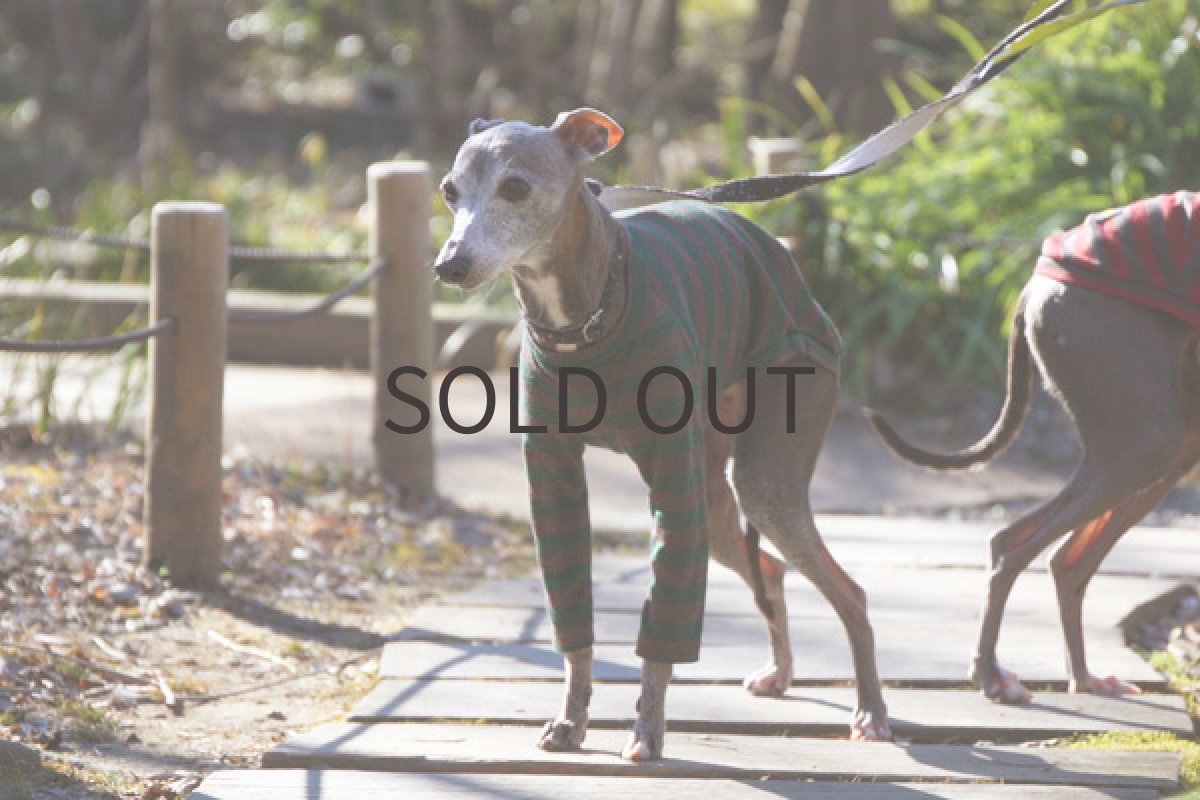 画像5: ウール混ボーダー（グリーン） (5)