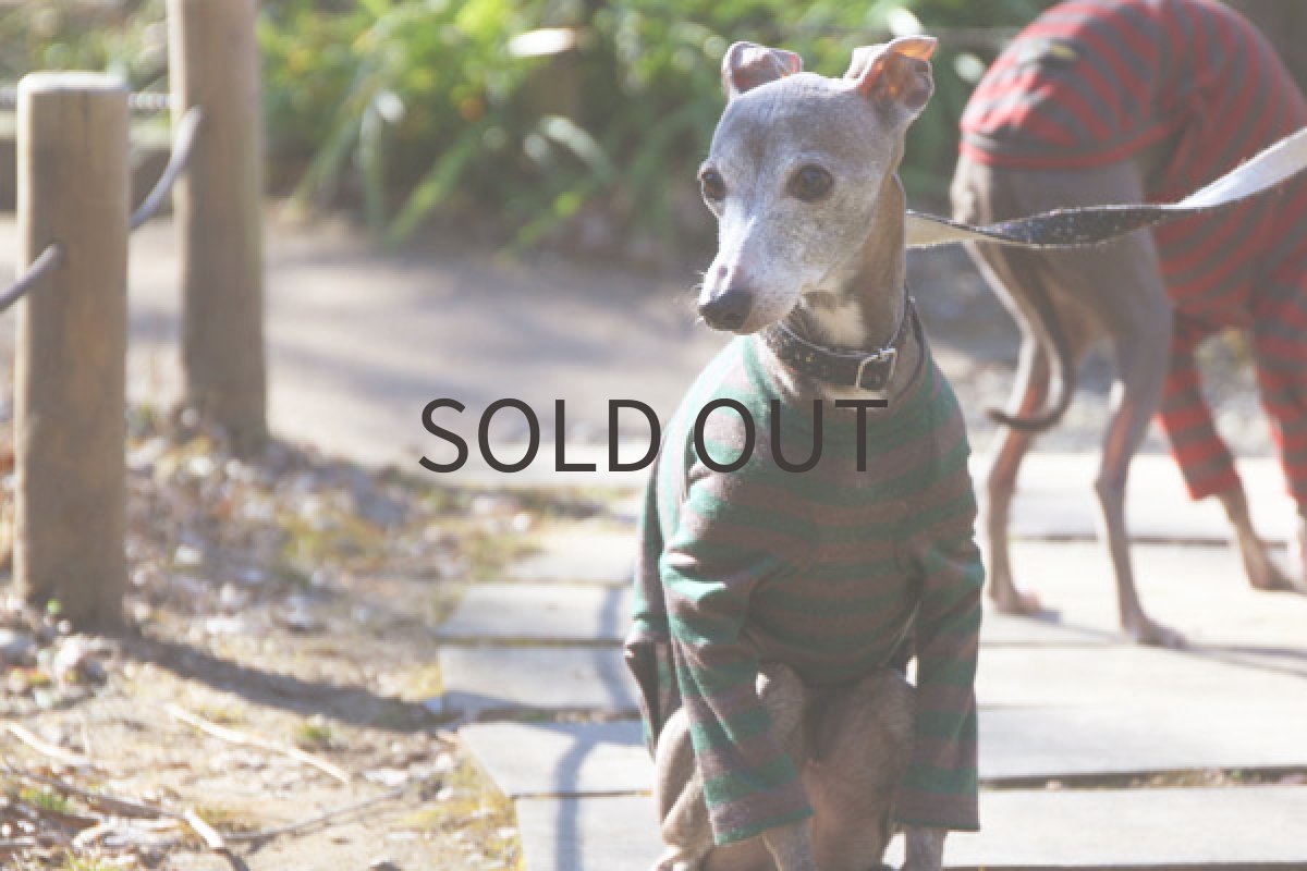 画像3: ウール混ボーダー（グリーン） (3)