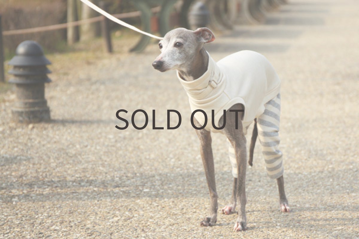 画像4: 春色スーパーウールコット（ホワイト） (4)