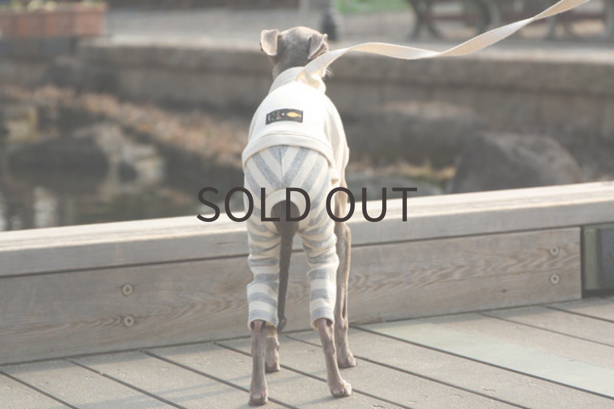 画像3: 春色スーパーウールコット（ホワイト） (3)