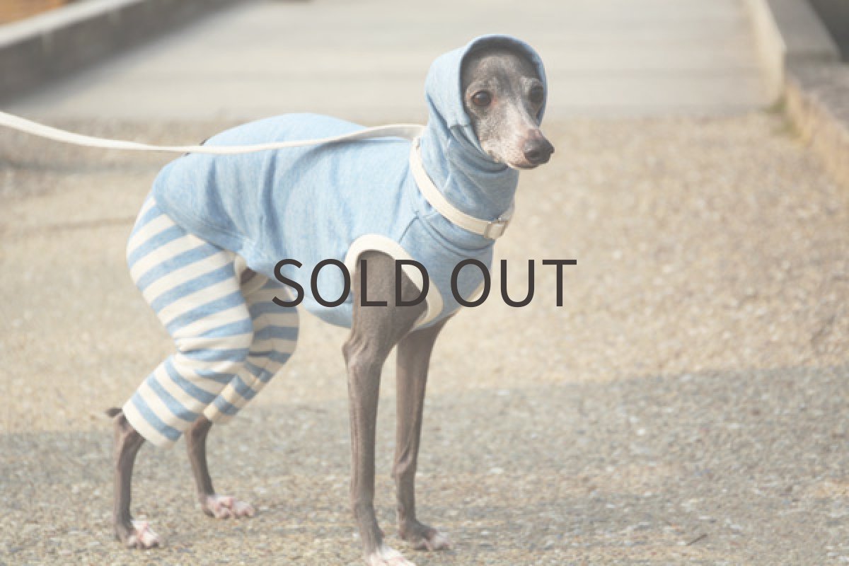 画像3: 春色スーパーウールコット（ブルー） (3)