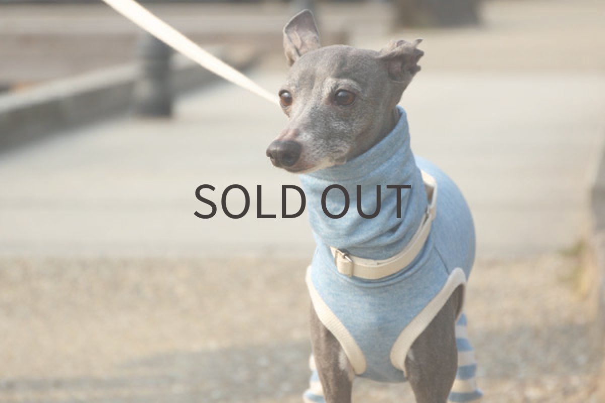 画像2: 春色スーパーウールコット（ブルー） (2)