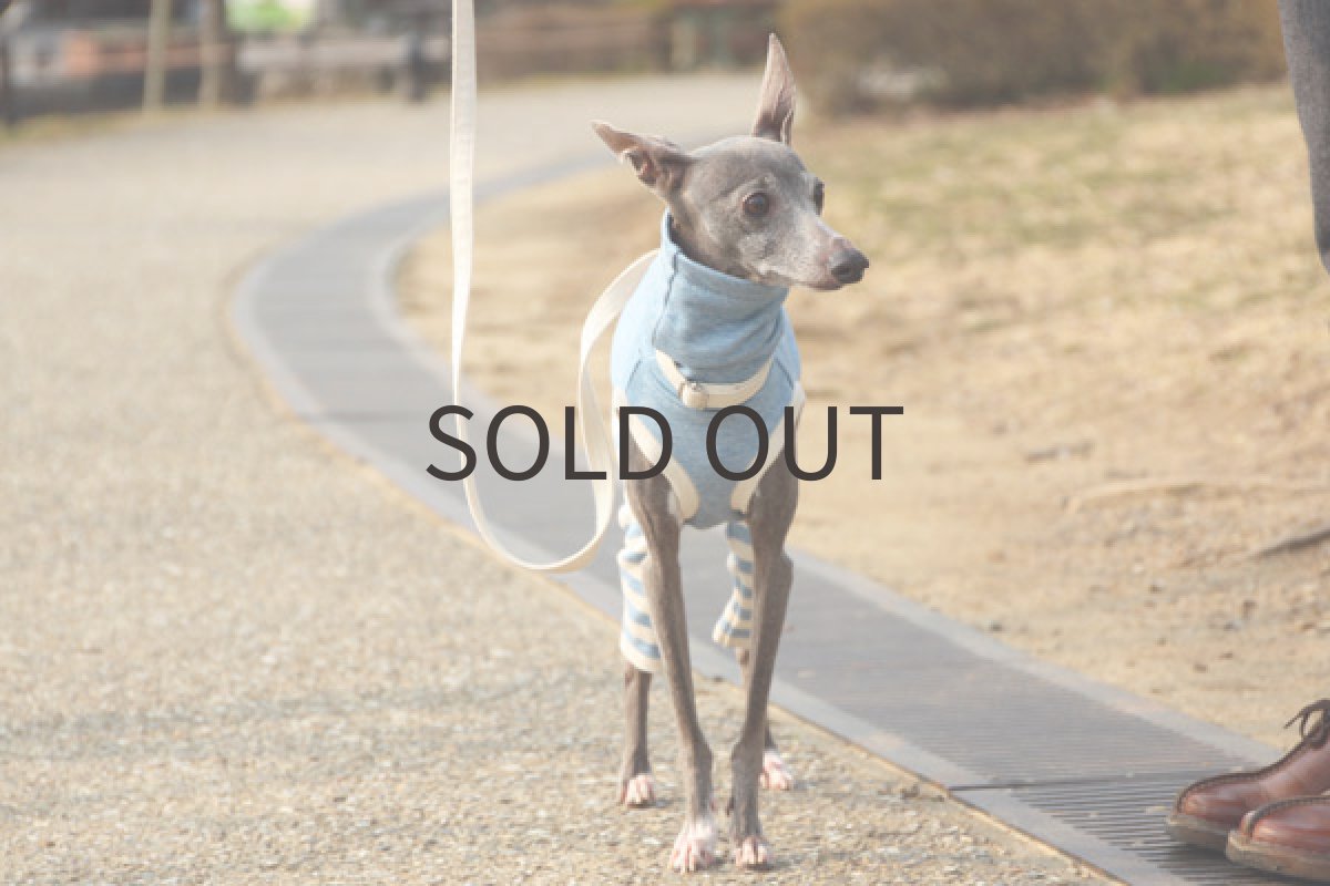 画像4: 春色スーパーウールコット（ブルー） (4)