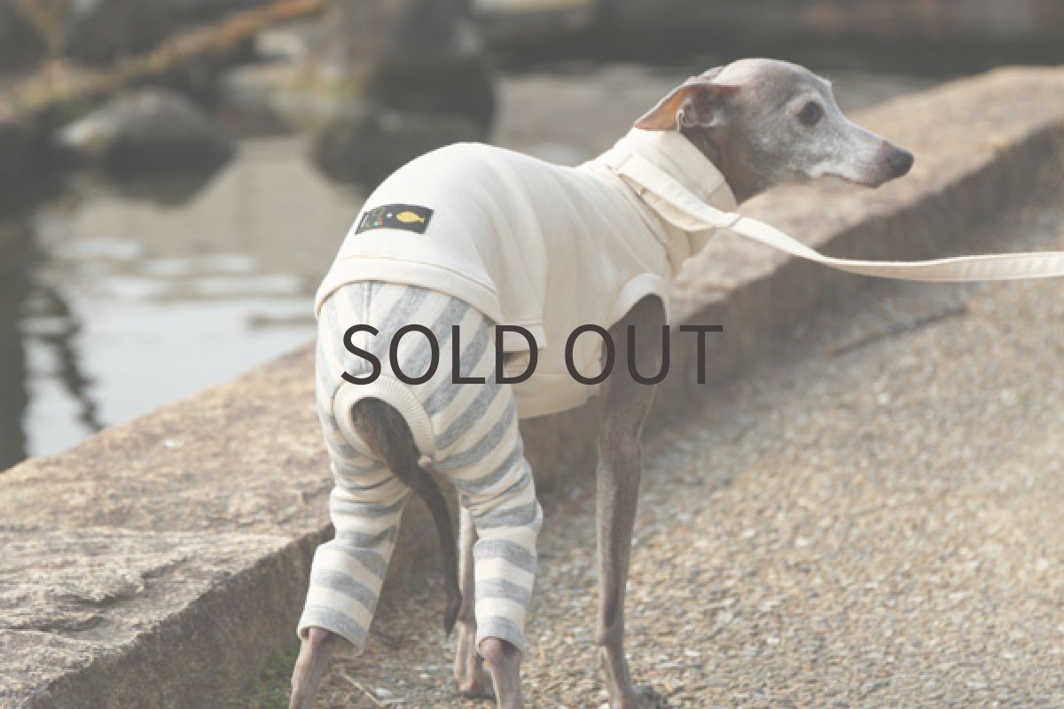 画像5: 春色スーパーウールコット（ホワイト） (5)