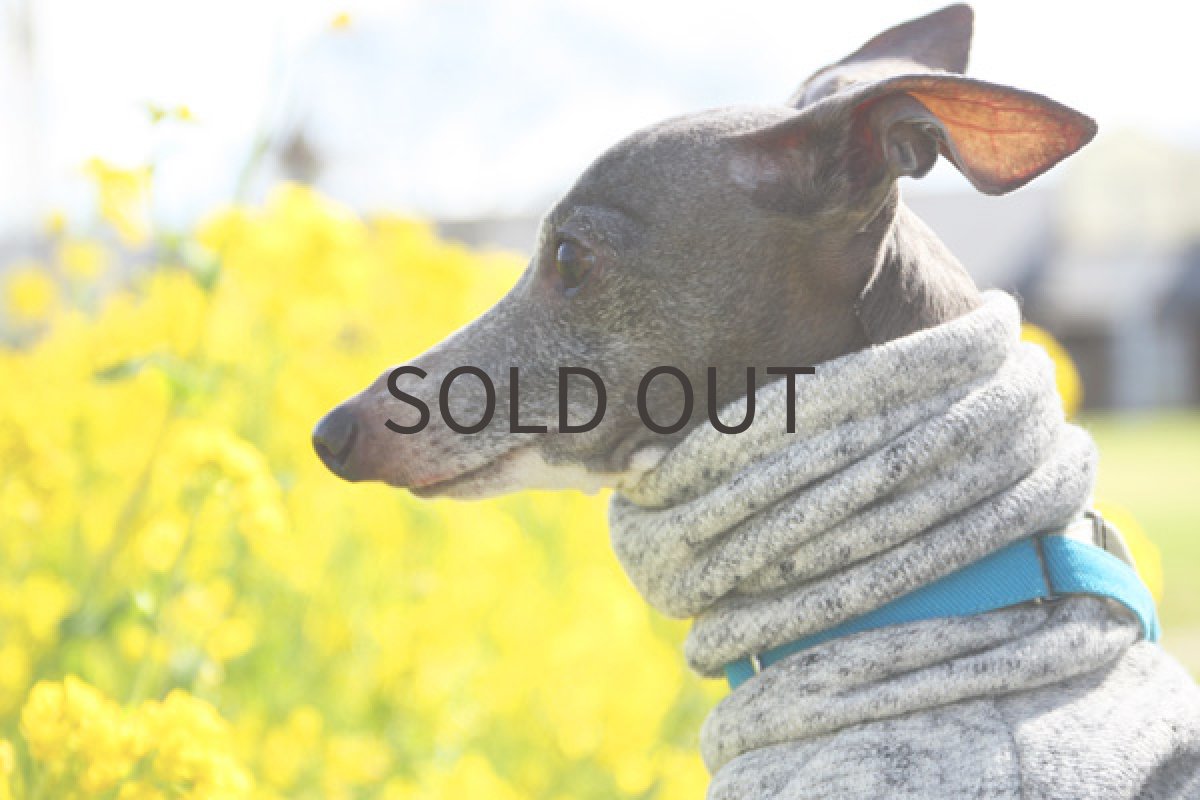 画像2: 吊り編み風ニット（杢グレー） (2)