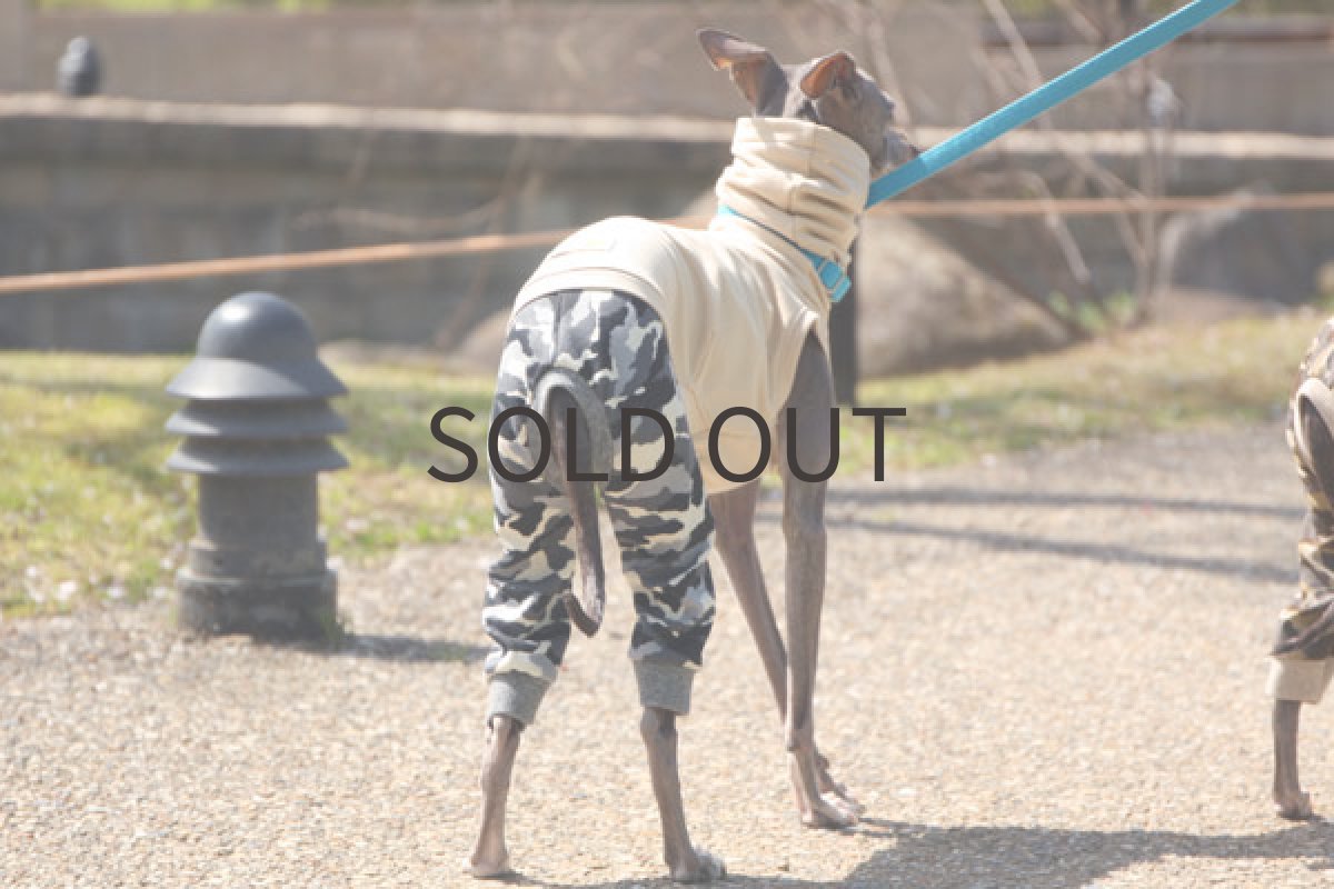 画像3: カモフラパンツのロンパ（グレー） (3)