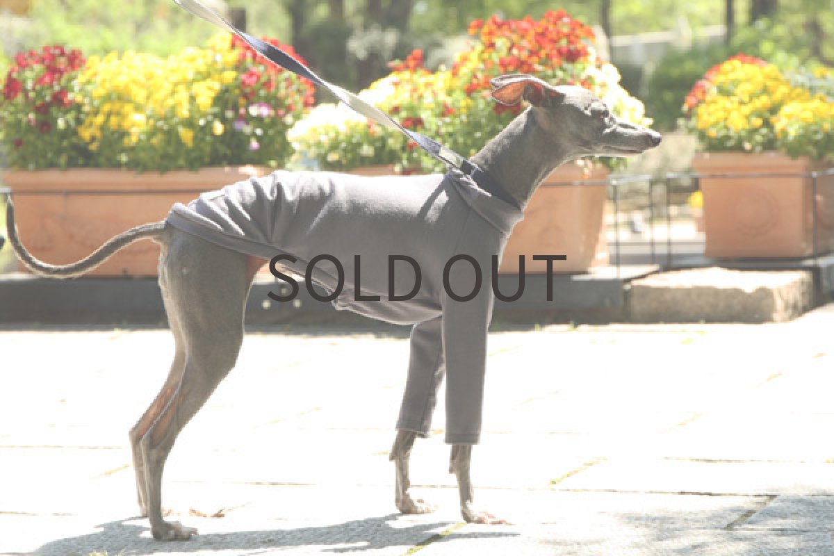 画像2: ウォッシャブルメリノウール（スモーキーパープル） (2)