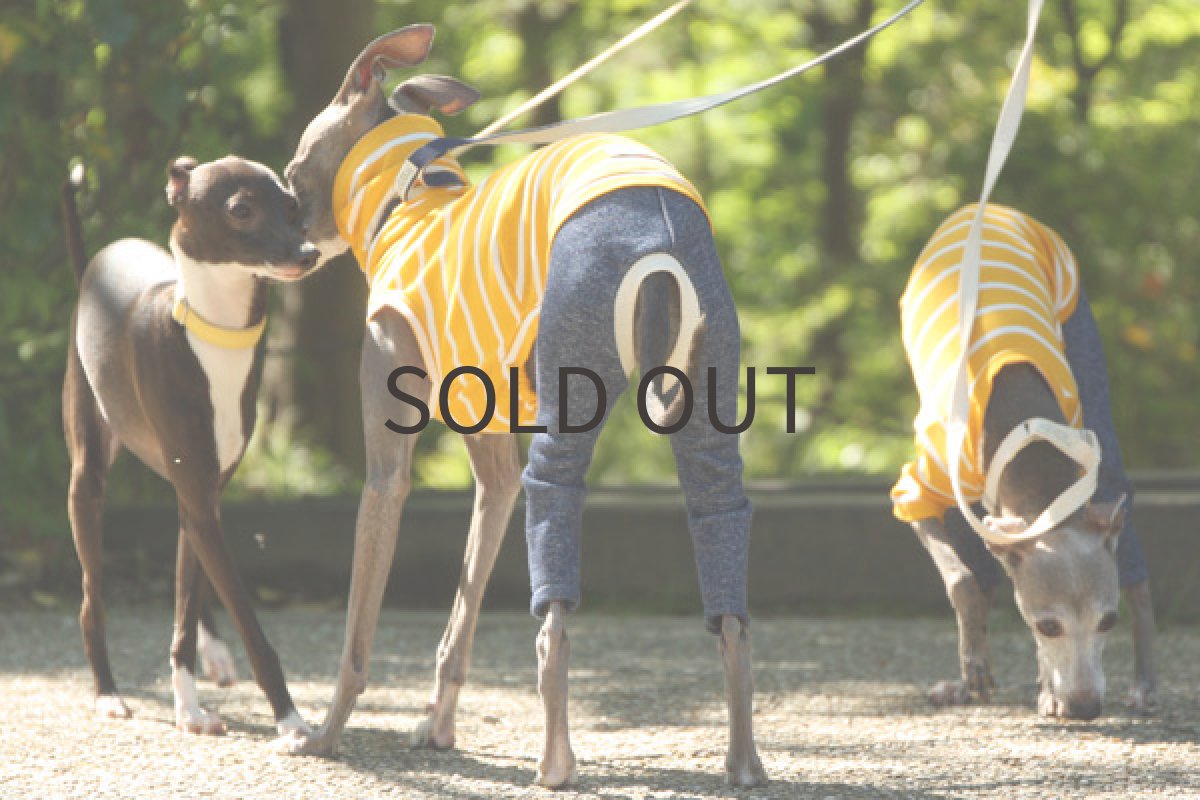 画像4: イエローボーダーのサマーロンパ (4)