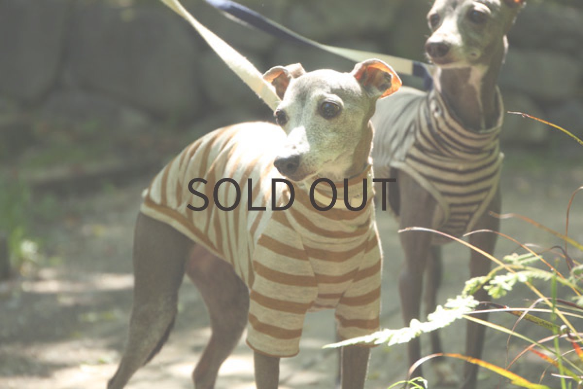 画像4: リネンボーダー（キャラメル） (4)