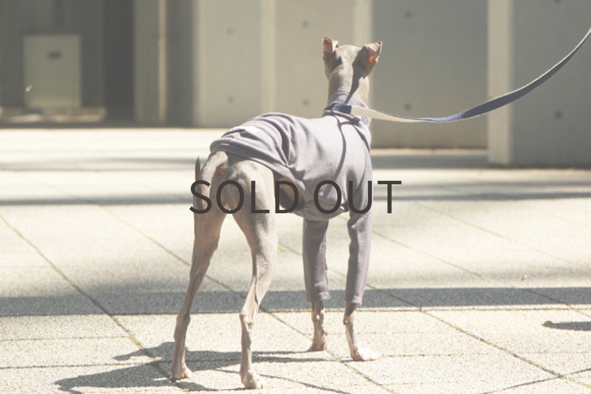 画像4: ウォッシャブルメリノウール（スモーキーパープル） (4)