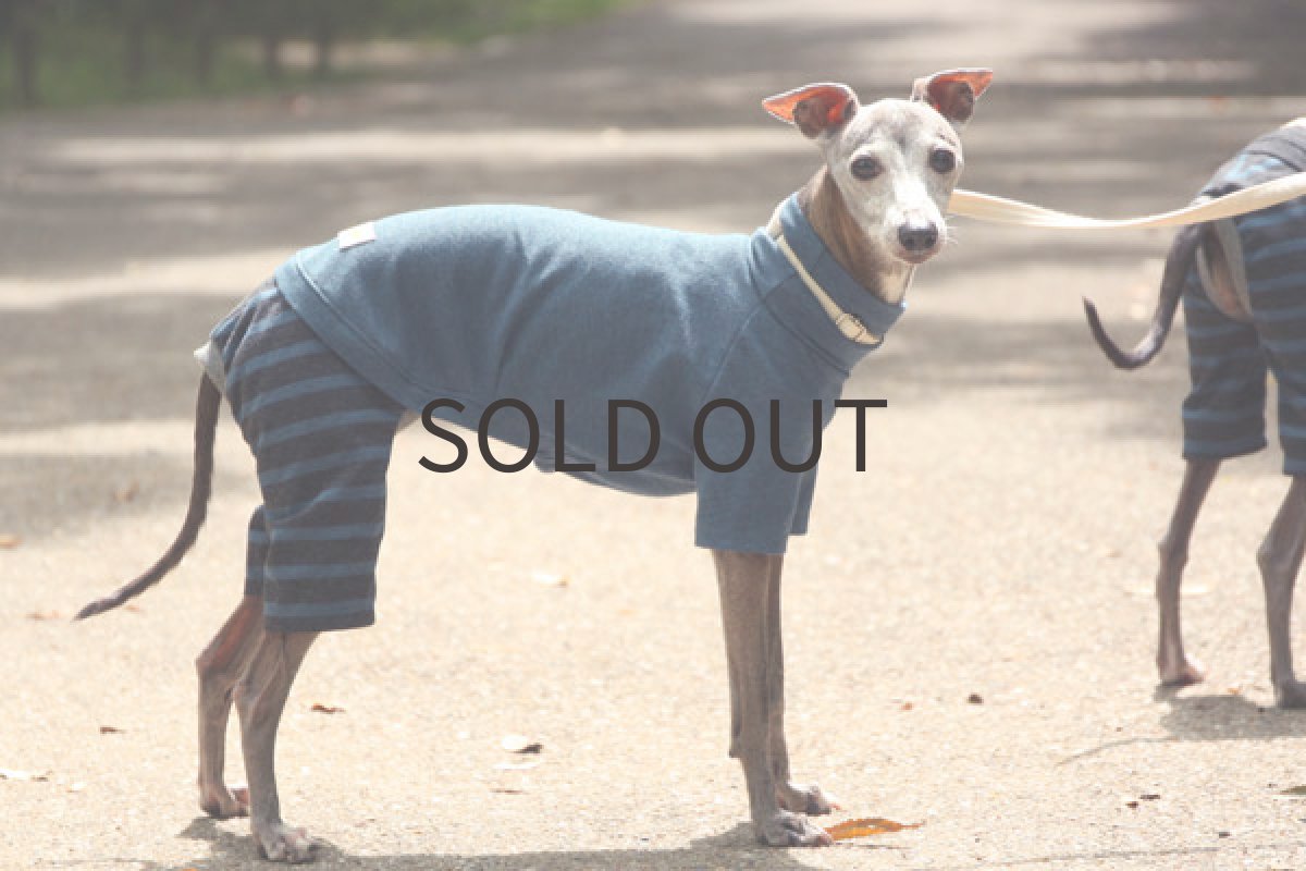 画像4: 天竺ニットのロンパース(ブルー) (4)