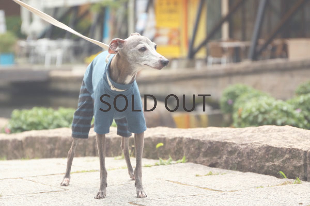 画像3: 天竺ニットのロンパース(ブルー) (3)