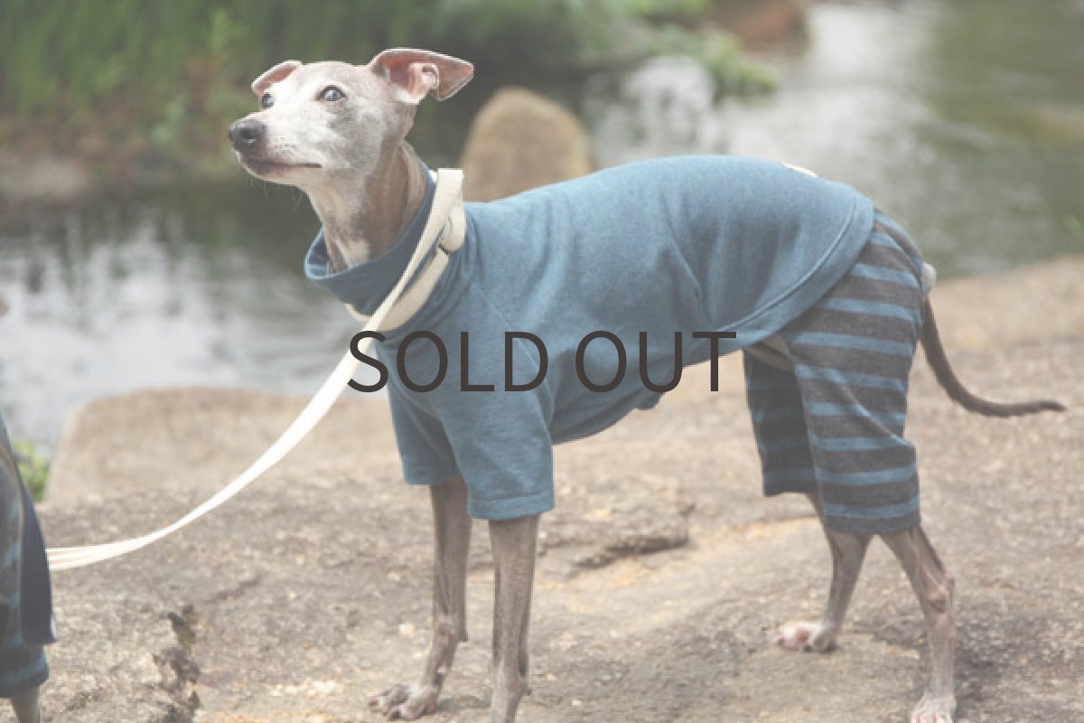 画像5: 天竺ニットのロンパース(ブルー) (5)