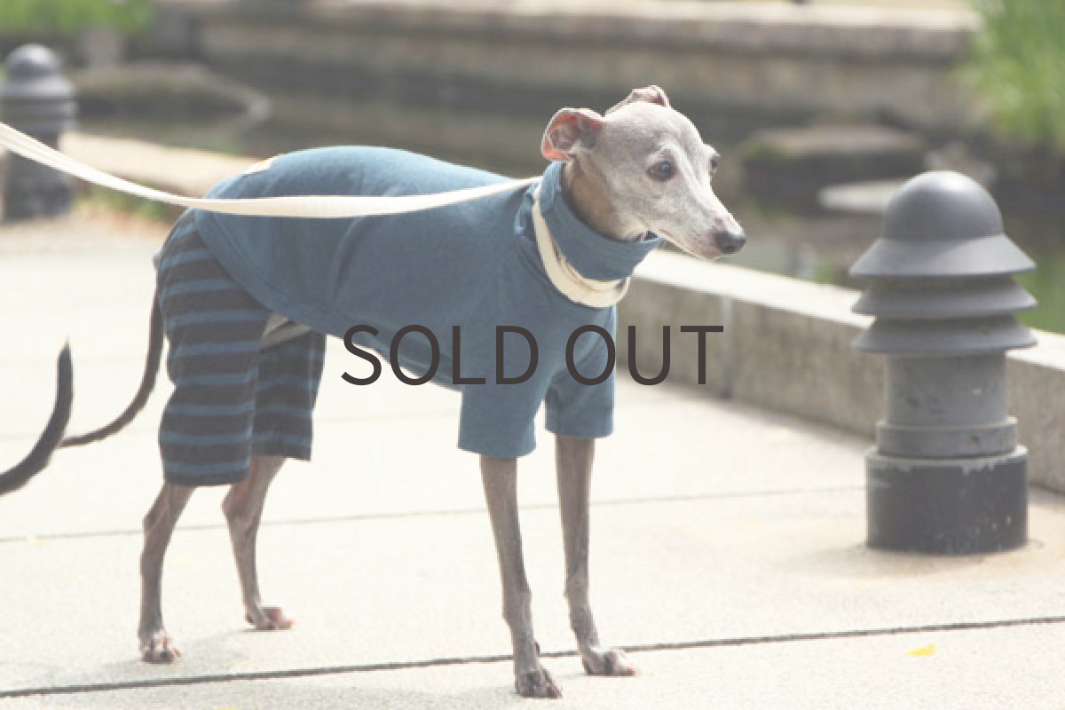 画像2: 天竺ニットのロンパース(ブルー) (2)