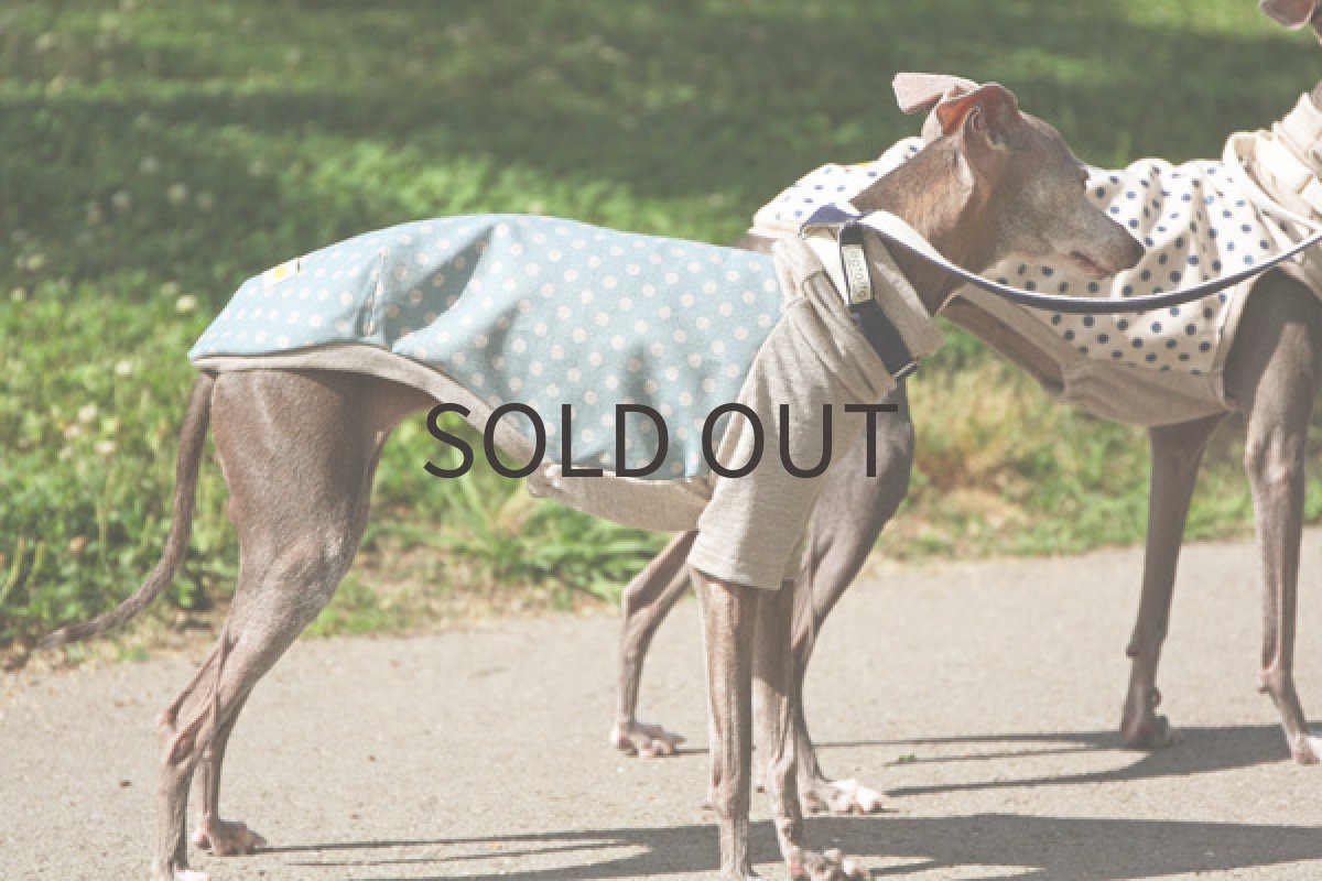 画像3: ラメドットの綿麻シャツ（スモークブルー） (3)