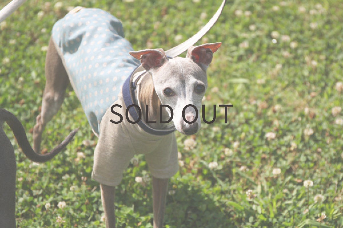 画像5: ラメドットの綿麻シャツ（スモークブルー） (5)