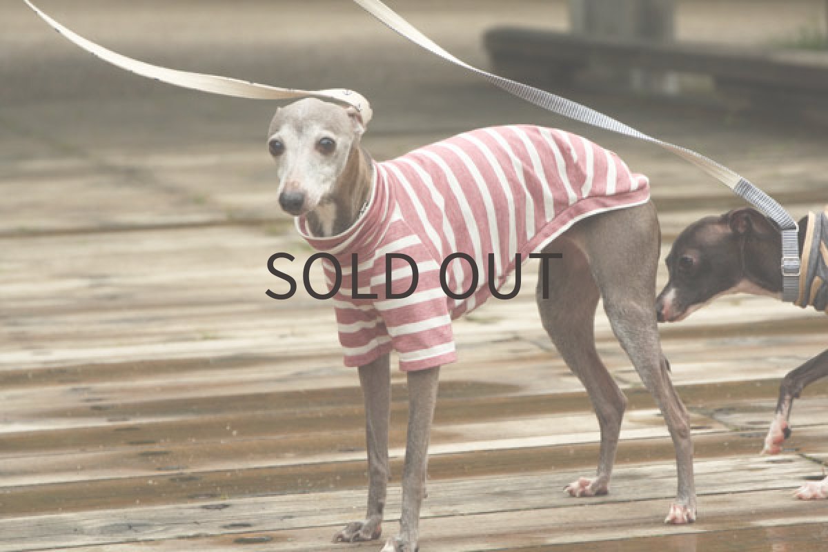 画像4: エアリフル天竺（ダスティピンク） (4)