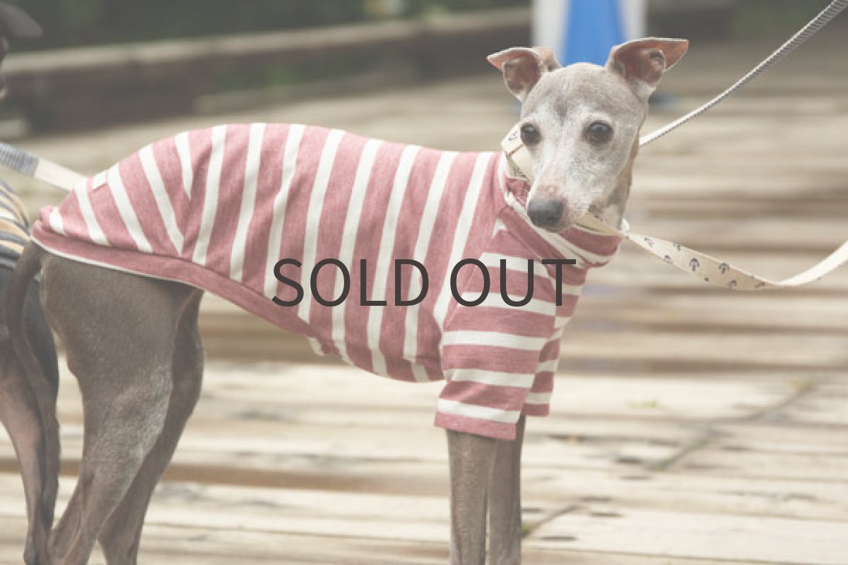 画像3: エアリフル天竺（ダスティピンク） (3)