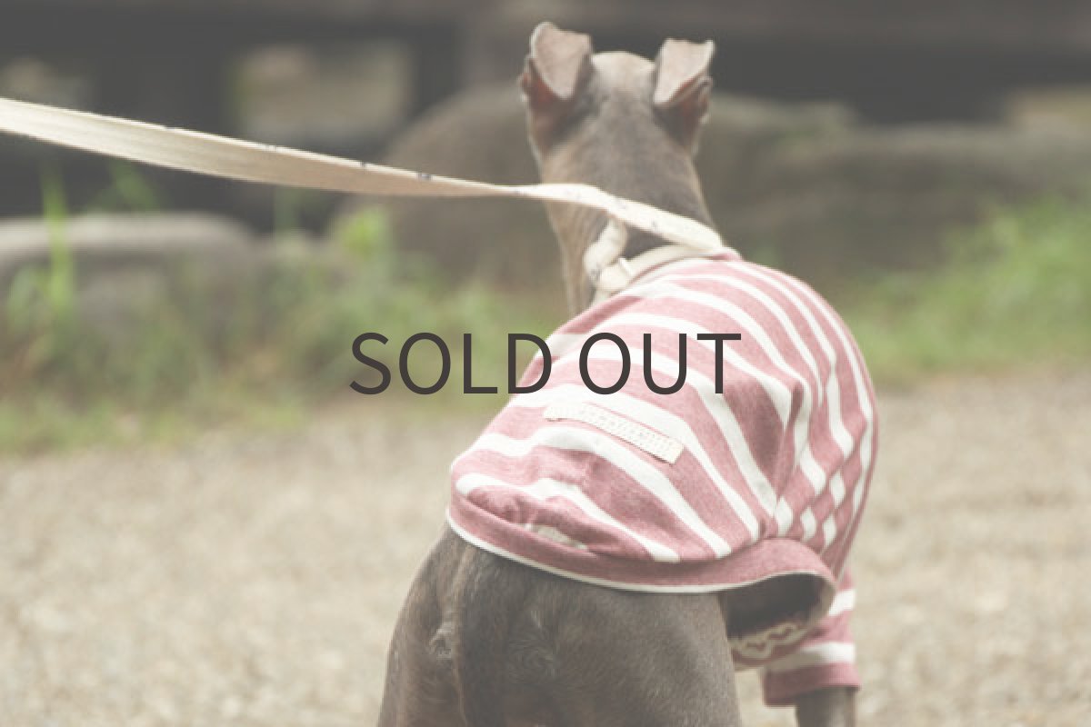 画像5: エアリフル天竺（ダスティピンク） (5)