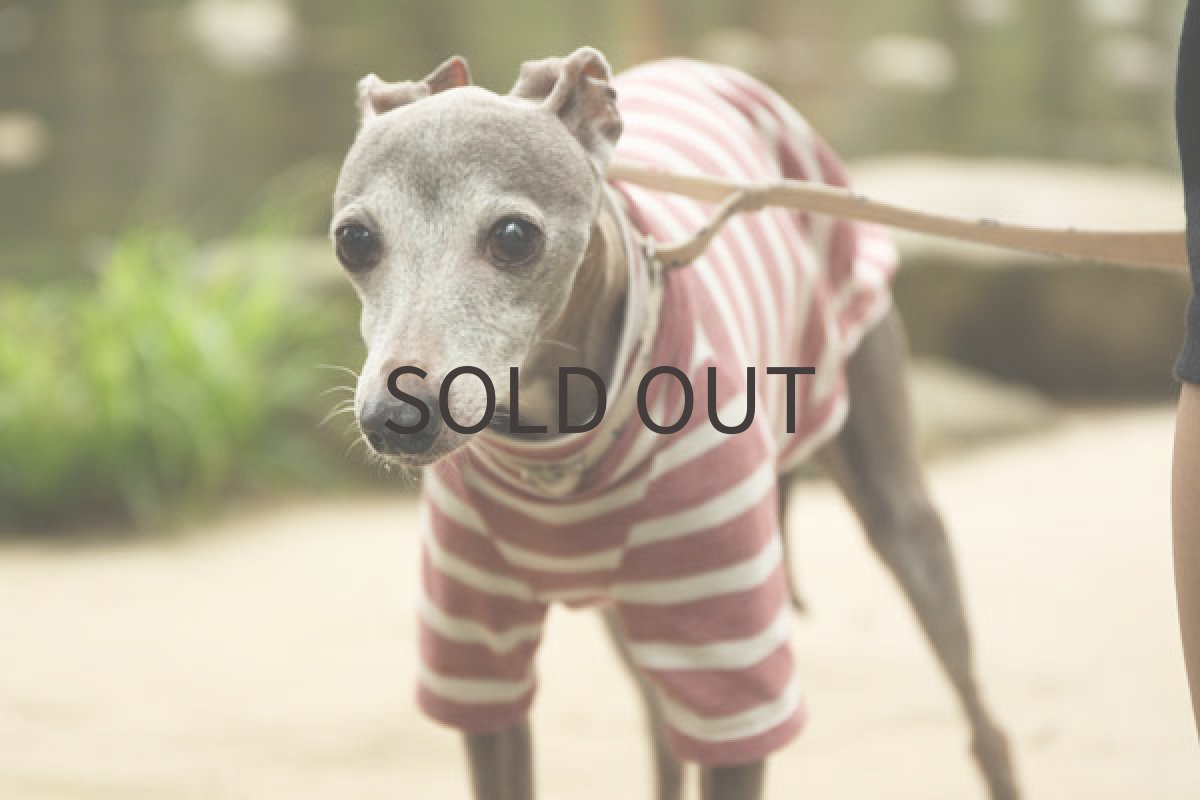 画像2: エアリフル天竺（ダスティピンク） (2)