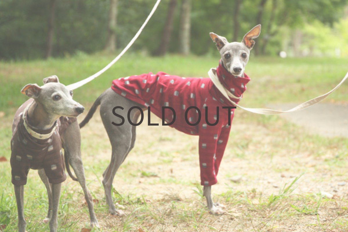 画像5: ブロックボーダーの接結シャツ（レッド） (5)