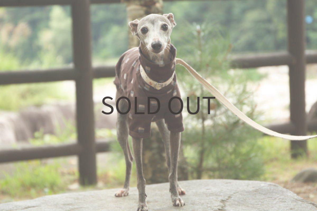 画像3: ブロックボーダーの接結シャツ（ブラウン） (3)