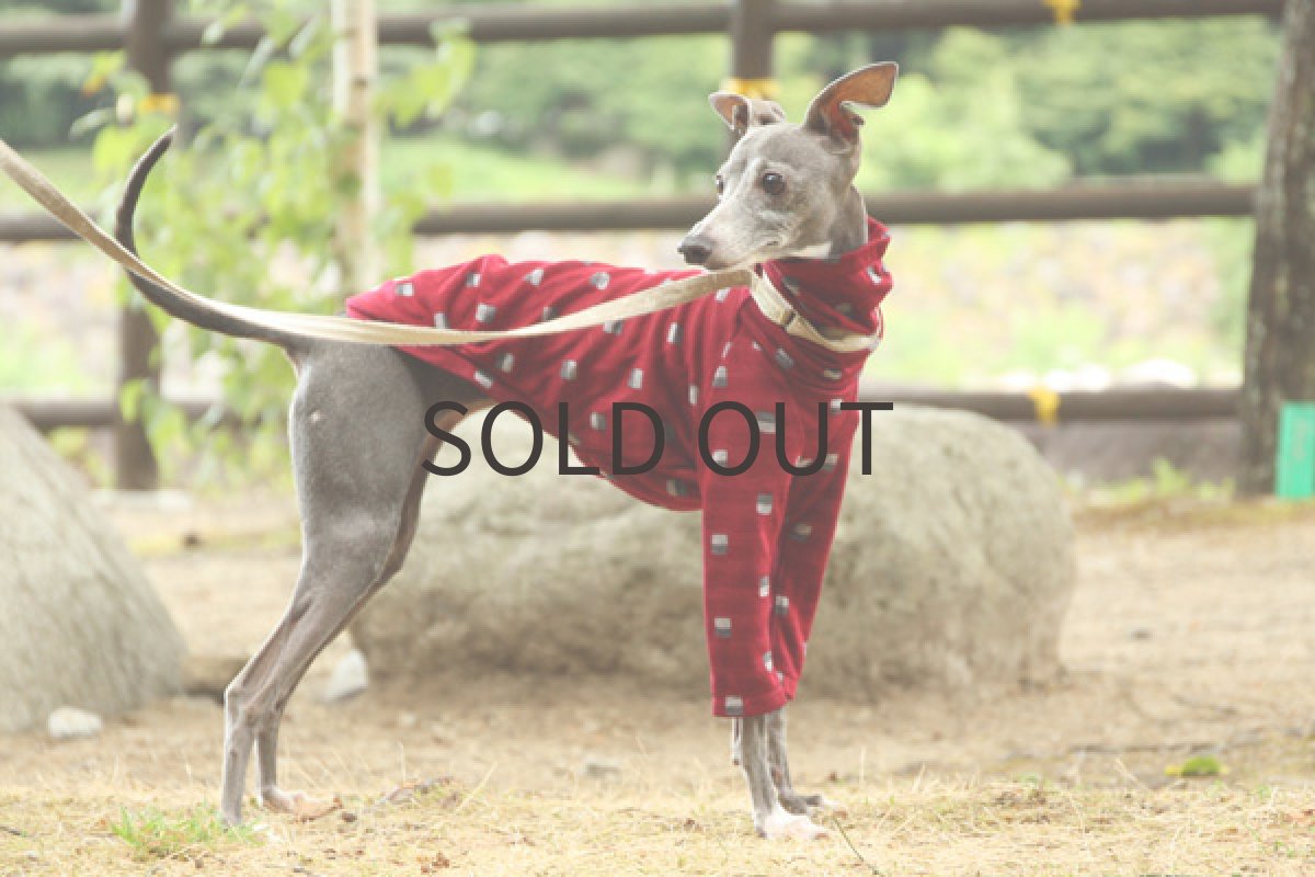 画像2: ブロックボーダーの接結シャツ（レッド） (2)