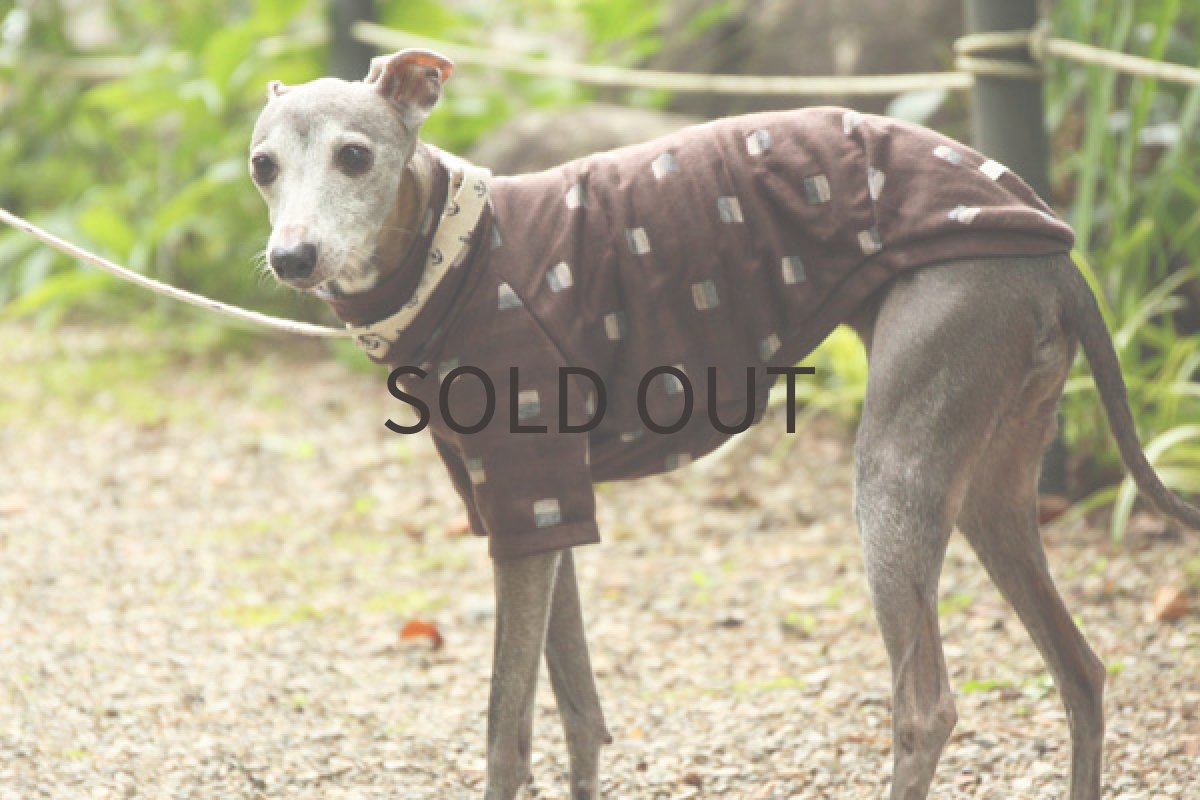 画像5: ブロックボーダーの接結シャツ（ブラウン） (5)