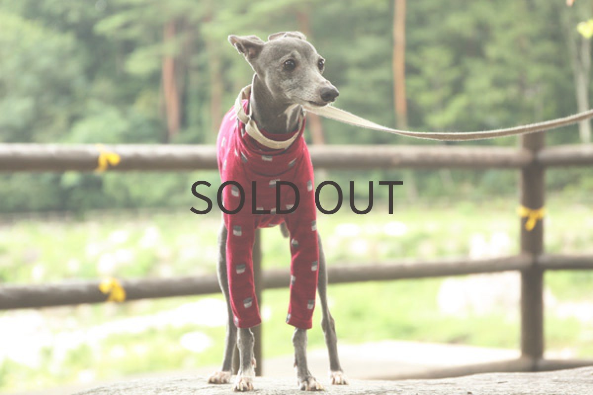 画像3: ブロックボーダーの接結シャツ（レッド） (3)