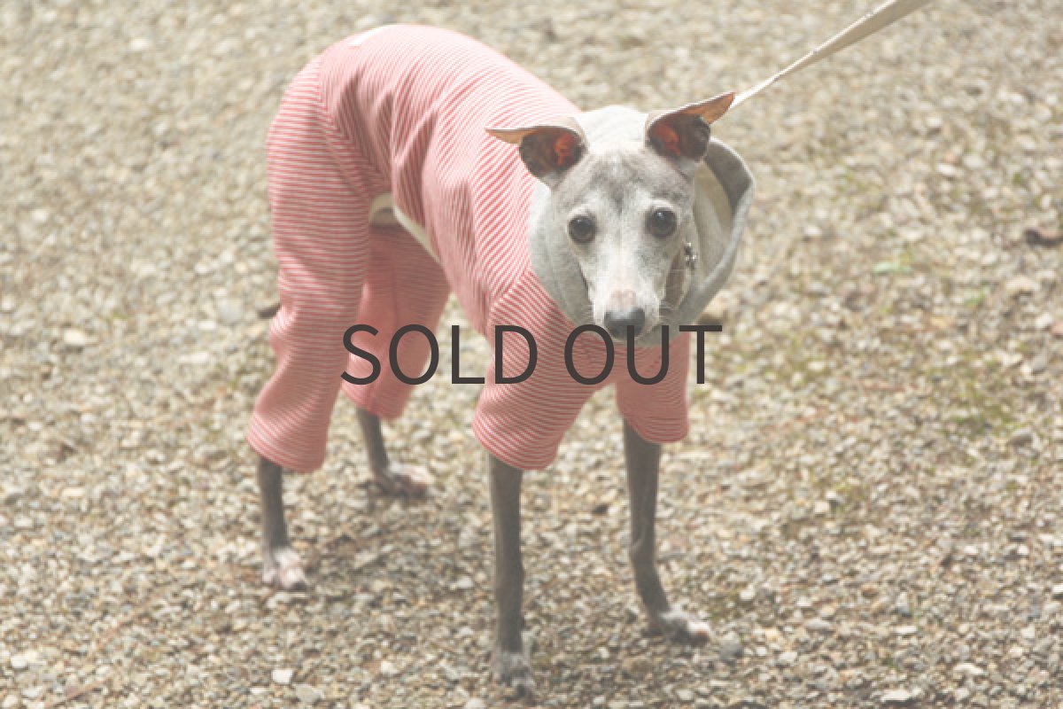 画像5: スエットフードのボーダーロンパ（レッド） (5)