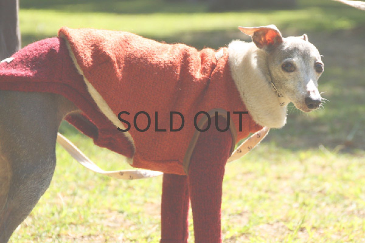 イタグレ服 イタリー製ファーベスト(オレンジレッド) 横