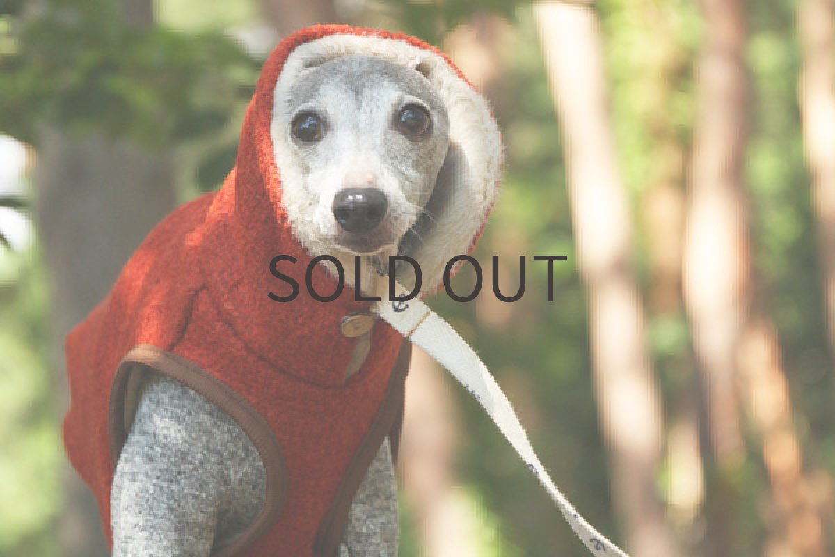 イタグレ服 イタリー製ファーベスト(オレンジレッド) アップ