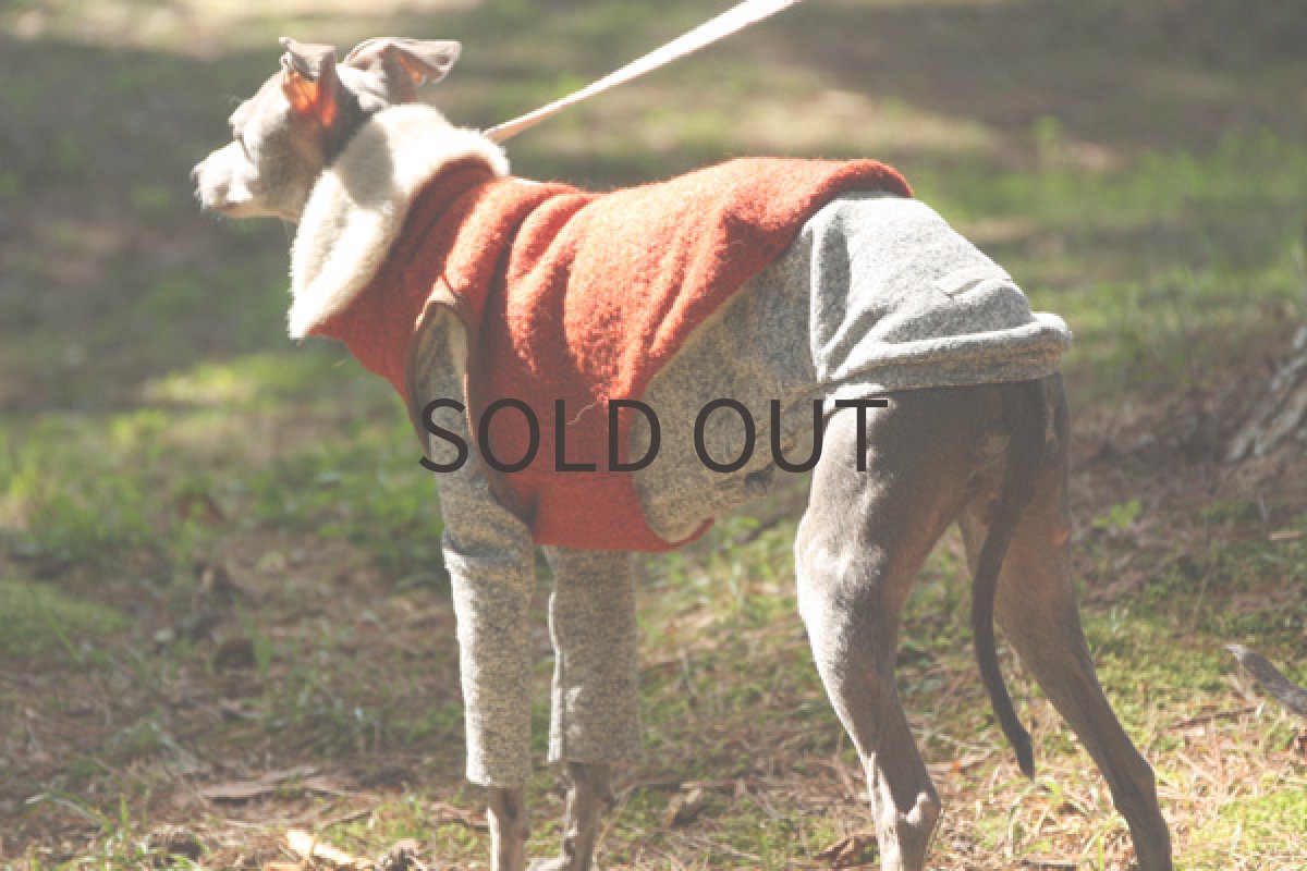 イタグレ服 イタリー製ファーベスト(オレンジレッド) 後方