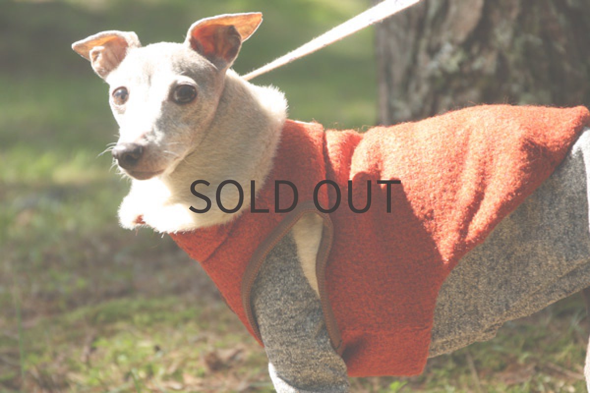 イタグレ服 イタリー製ファーベスト(オレンジレッド) アップ