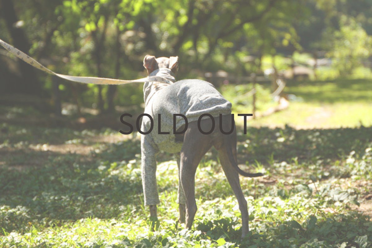 画像3: シルクウールネップ（グレー） (3)