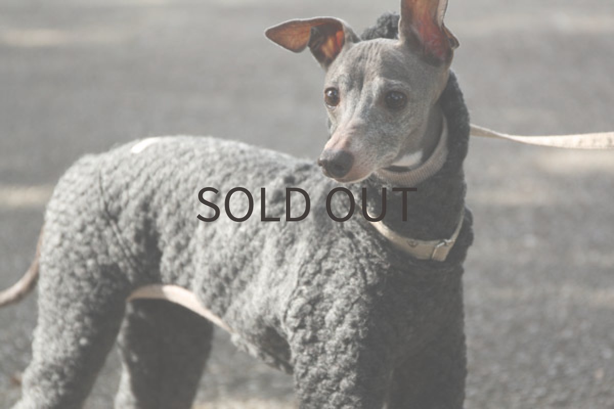 イタグレ服 ぽこぽこウールニット 斜め前