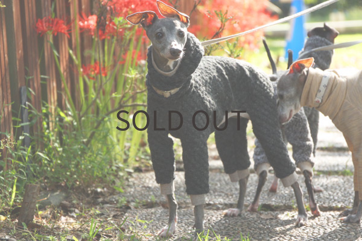 イタリアングレーハウンド服 ぽこぽこウールニット 全身