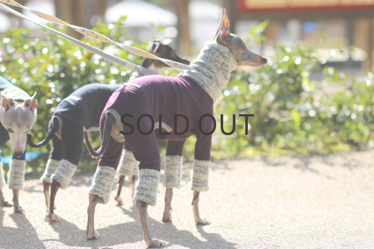 イタグレ服 +ブークレーヤーン(パープル) 後方