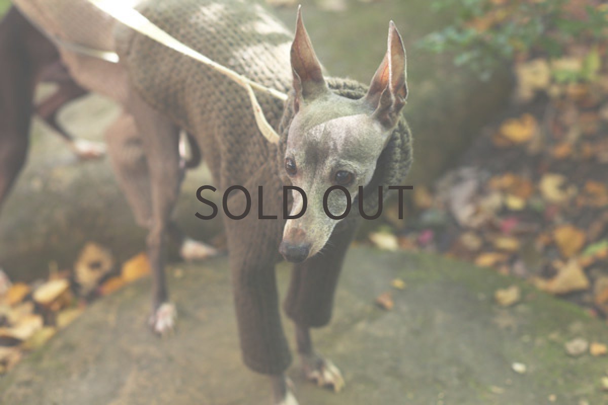 画像3: イタリー縄編みニット（カーキ） (3)