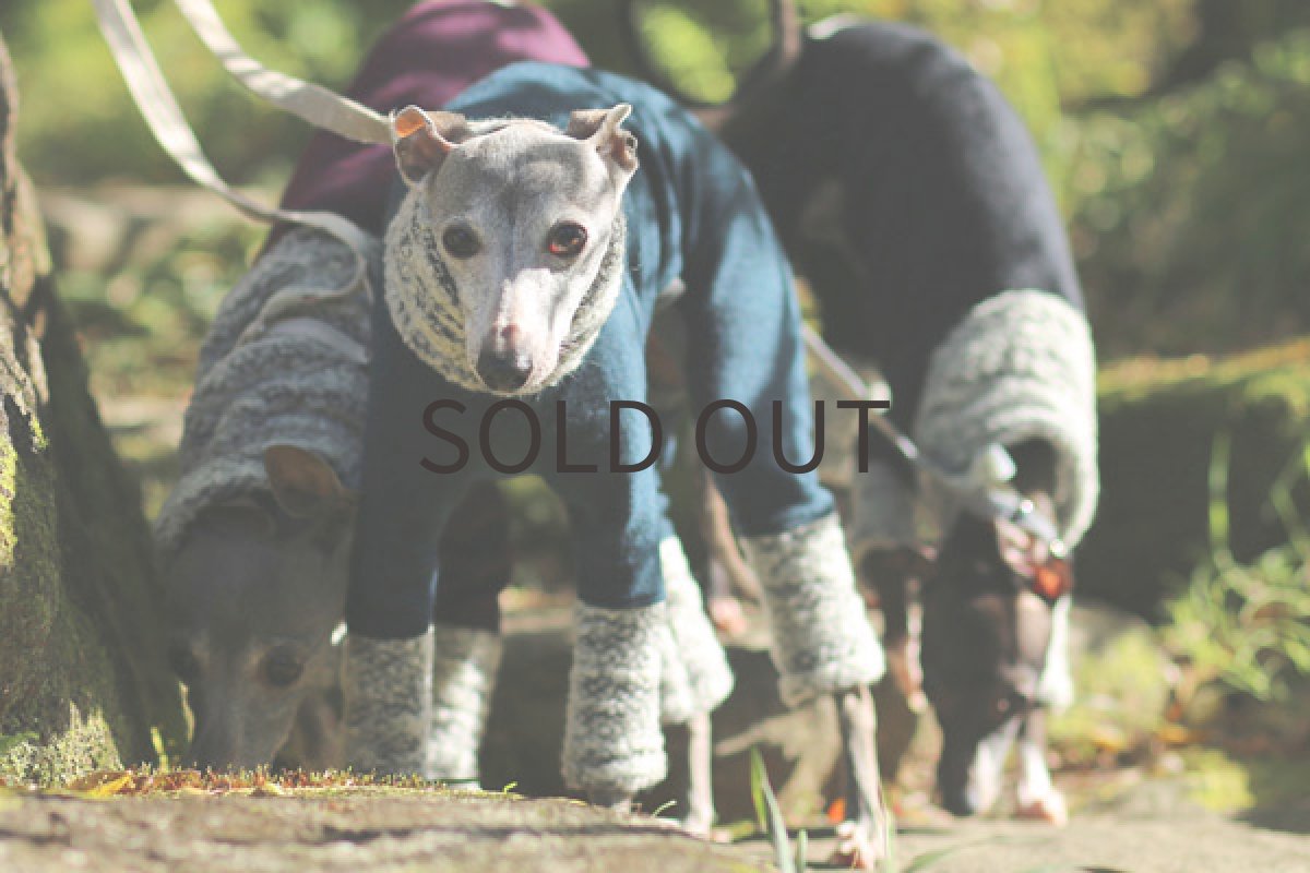 イタグレ服 +ブークレーヤーン（ティールブルー） 前アップ