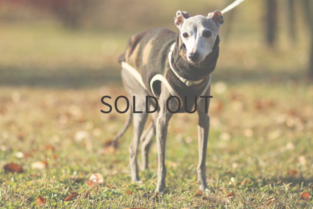 画像5: イタリー迷彩圧縮ニット (5)